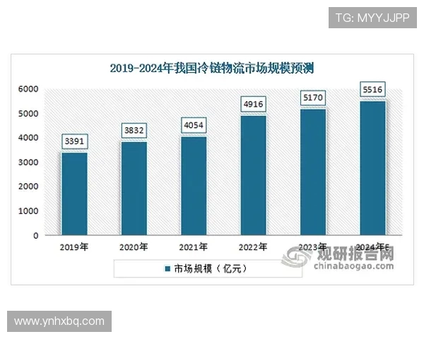 南京羽毛球队技术表现深度分析与数据解读探讨