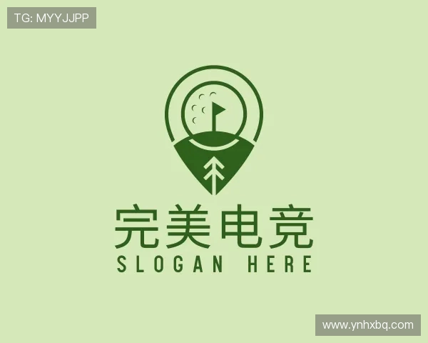 发现完美电竞